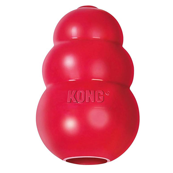 Kong Stuffable Dog Toy